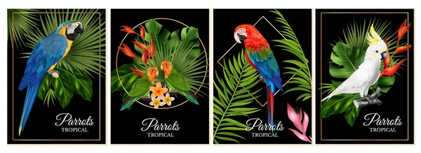 エキゾチックな鳥と花の要素を持つ4つの垂直ポスターセットの現実的なオウム テキストベクトルのイラスト — ストックベクタ