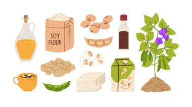 Soyalı ürünler, izole edilmiş un paketleri, olgun bitkiler, fincanlar ve paket vektör çizimleri ile sabitlenmiş.