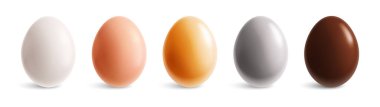 Renkli yumurtaların gerçekçi detaylı görünümleri ve boş arkaplan çizimi üzerindeki gölgelerle izole edilmiş görüntüleriyle ayarlayın