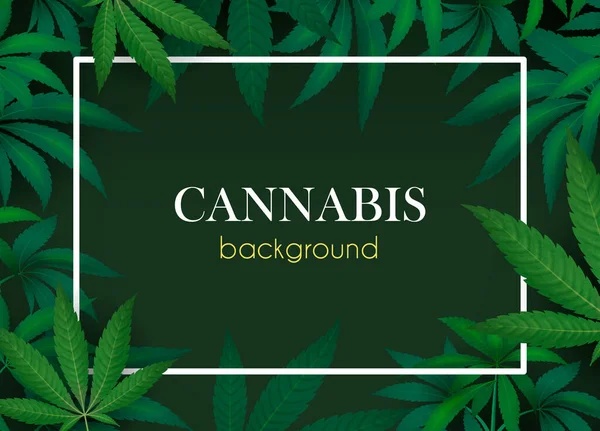 带有绿色大麻植物叶子的医用大麻现实海报 背景病媒图解 — 图库矢量图片