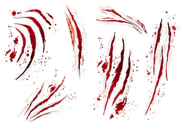 Realistické Drápy Škrábance Zvířecí Krev Set Izolovanými Obrazy Krvavých Škrábanců — Stockový vektor