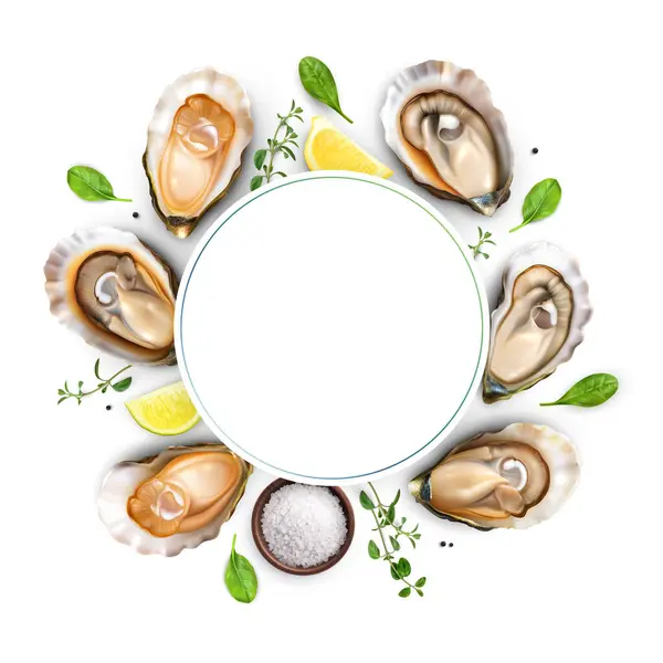 Oysters Composition Frame Empty Space Surrounded Realistic Images Oysters Greens — Stock Vector