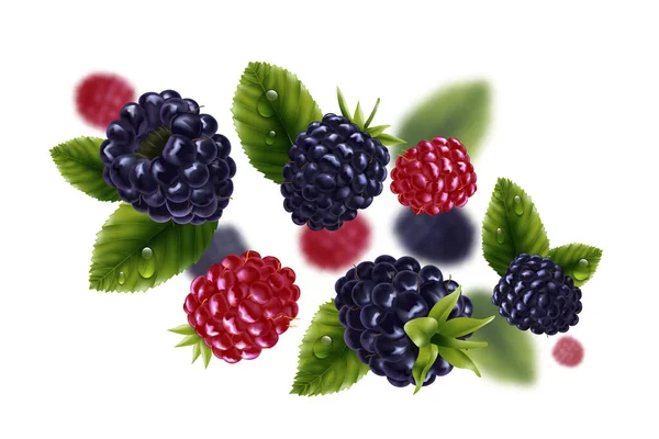 Realistic Flying Blackberries Green Leaves Background Blurred Image Vector Illustration — Stock Vector
