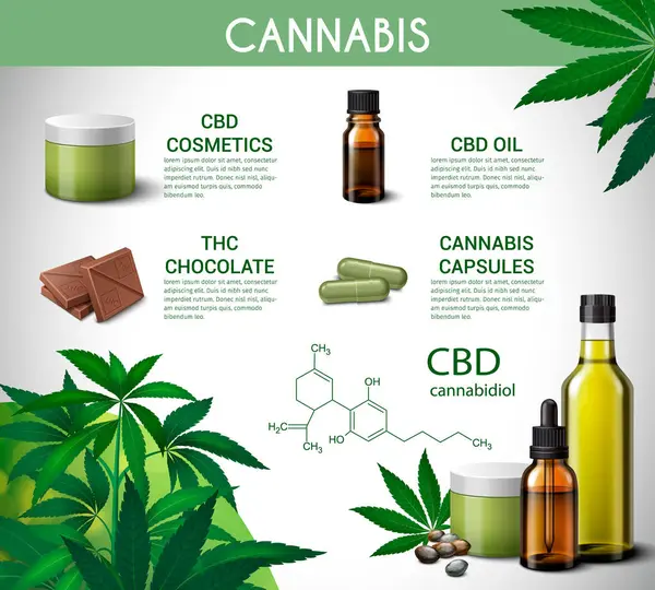 Lékařská Marihuana Realistická Infografika Konopnou Kosmetikou Potravinářskými Výrobky Vektorové Ilustrace — Stockový vektor