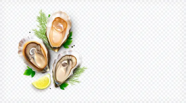 Oysters Realistic Composition Top View Seafood Shells Lemon Greens Transparent — Stock Vector