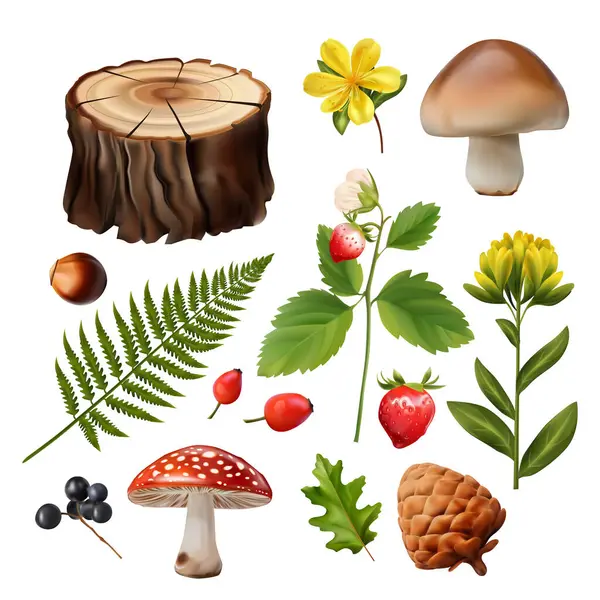 Ícones Florestais Realistas Com Flores Silvestres Bagas Cogumelos Ilustração Vetorial — Vetor de Stock