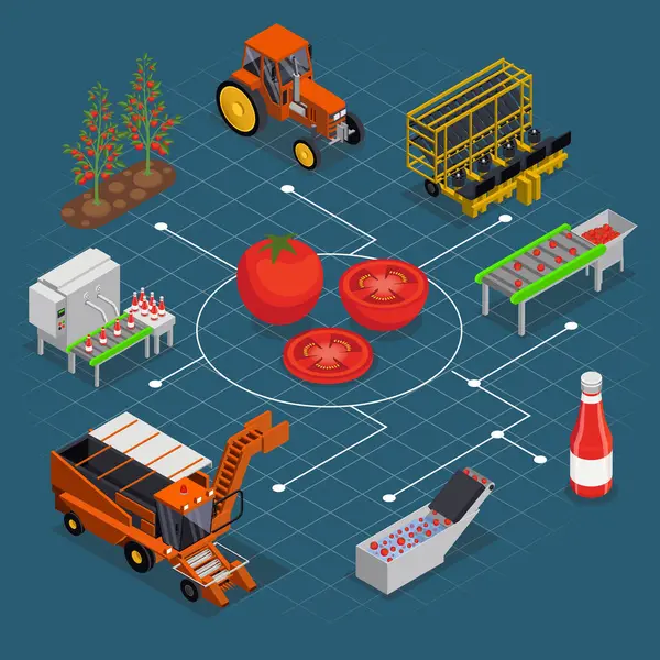 Produkcja Pomidorów Izometryczny Skład Schematem Wyodrębnionych Obrazów Roślin Pojazdów Linii — Wektor stockowy