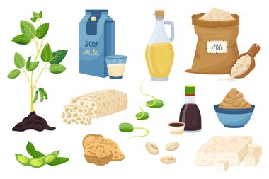 Fasulye soslu sade soya ürünleri seti. Süt unu tofu lahanası, miso macunu. Yağlı Tempeh eti izole edilmiş vektör çizimi.