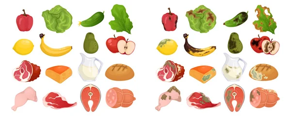 Ensemble Aliments Frais Pourris Fruits Légumes Viande Pain Produits Laitiers — Image vectorielle