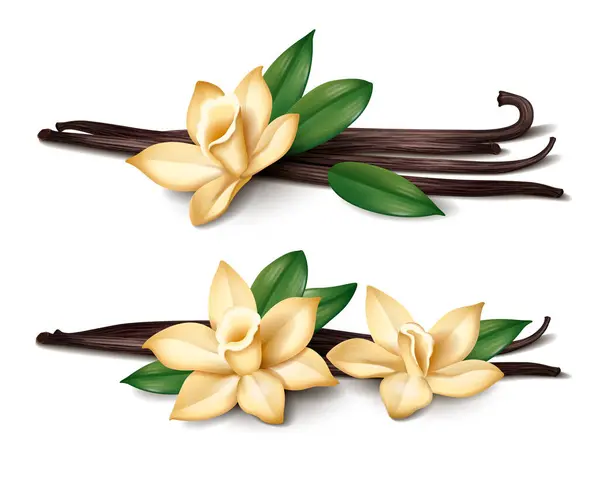 Realistic Vanilla Set Spice Sticks Orchid Flowers Vector Illustration — Stock Vector