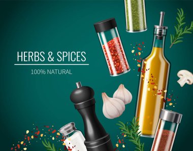 Kitchen spices realistic poster with seasonings in dispensers vector illustration clipart