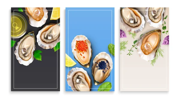 Oysters Promo Φυλλάδια Κάρτες Σύνολο Κάθετα Υπόβαθρα Ρεαλιστικές Εικόνες Γκουρμέ — Διανυσματικό Αρχείο