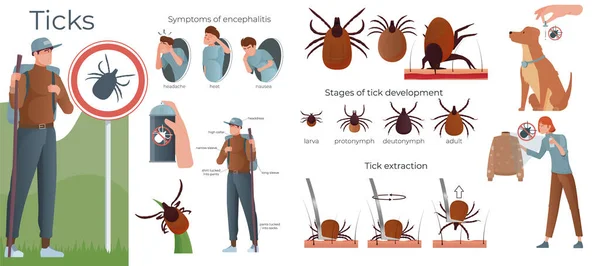 Ticks Έντομο Επίπεδη Σύνθεση Ταξιδεύουν Άνθρωπος Προειδοποιητικό Σημάδι Και Σύνολο — Διανυσματικό Αρχείο