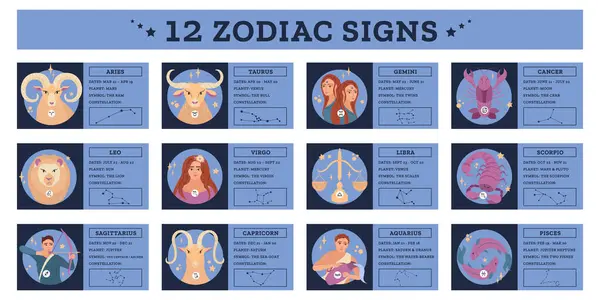 Infografía Plana Con Descripciones Constelaciones Doce Signos Del Zodiaco Ilustración — Vector de stock