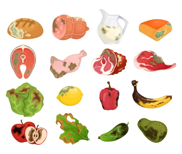 Rotte Voedsel Cartoon Set Van Bedorven Beschimmelde Biologische Melk Vleesproducten — Stockvector