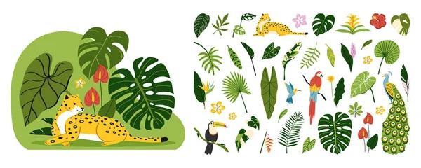 Kézzel Rajzolt Egzotikus Növény Állatvilág Illusztráció Készlet Vad Ani — Stock Fotó