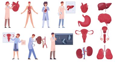El çizimi düz organ. Doktorlu orijinal set koleksiyonu.