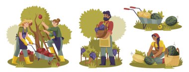 El çizimi düz meyve hasadı mini kompozisyonu.