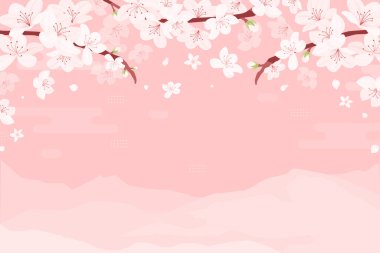 Düz dizaynlı Sakura çiçeği arkaplanı