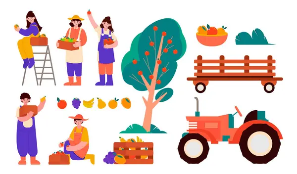 手描きフラットフルーツ収穫セット — ストック写真