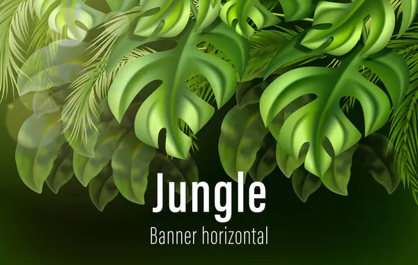 Realisztikus Dzsungel Vízszintes Banner Sablon Trópusi Levelekkel — Stock Fotó
