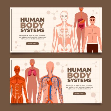 Düz insan organı sistemleri yatay afiş şablon koleksiyonu