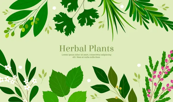 Hand Drawn Flat Herbs Composition Background Template Stockbild