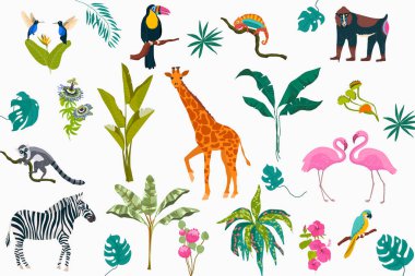 Elle çizilmiş düz, egzotik bitki örtüsü ve hayvan unsurları koleksiyonu 