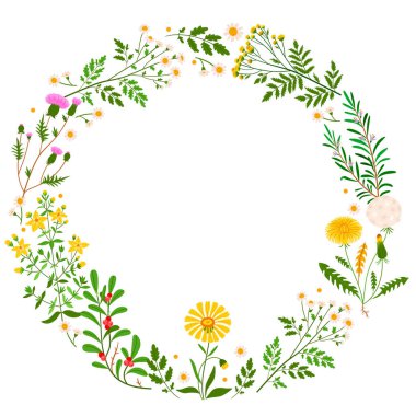 Bitkiler düz elle çizilmiş karikatür çerçevesi