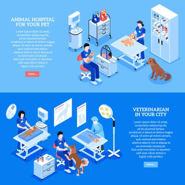 Isometric veterinary horizontal banner template set