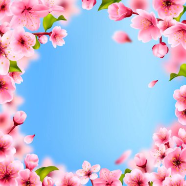 Kiraz çiçekli gerçekçi sakura ağacı çerçeve arkaplanı