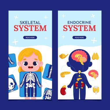 Düz anatomik gövde dikey pankart şablonu ayarlandı