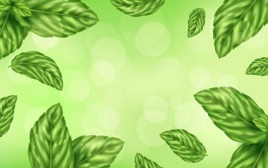 Gerçekçi biçimde taze nane arkaplanı