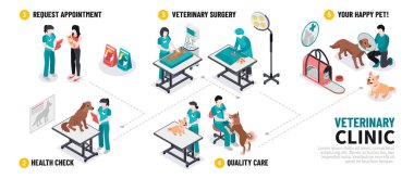 Isometric veterinerlik adım adım şema şablonu
