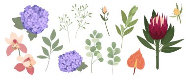 Farklı renkte çiçekler çizilmiş.