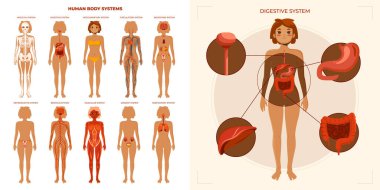 Çizim seti olan düz insan bedeni simgesi