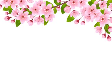 Gerçekçi bir arka planda Sakura çiçek açar