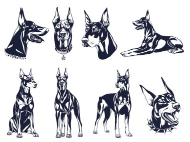Doberman Pinscher Çizim Koleksiyonu
