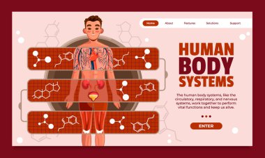 Düz İnsan Vücut Sistemleri İniş Sayfası