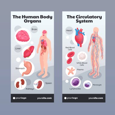 İnsan Vücut Organı Isometric Dikey Afişler Koleksiyonu