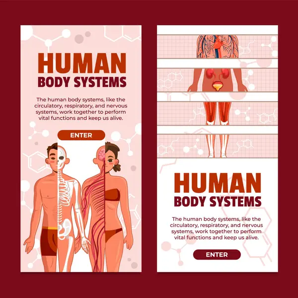 İnsan Vücut Sistemleri Dikey Afiş Ayarları