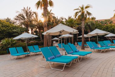Açık şemsiyelerin altında havluyla mavi yatak havuzu güzel palmiye ağaçları, dinlenme, tatil, rahatlama zeminine karşı..