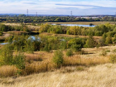 Fairburn Ings Doğa Rezervi, Batı Yorkshire, İngiltere 'deki sulak arazi habitatına bakın.