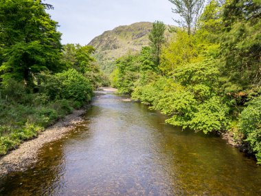 Tree Line River Eachaig ve Cowal Yarımadası, Argyll, İskoçya 'daki arka plan tepeleri