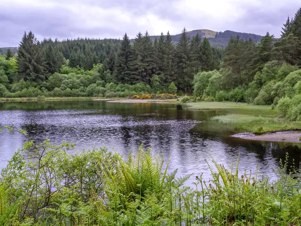 木々と背景の丘 ドノン アーガイル スコットランドのグレン貯水池を司教 — ストック写真
