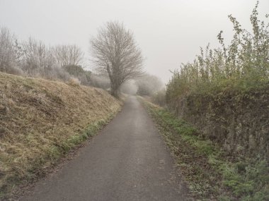İngiltere, York yakınlarında sisli bir kış sabahı trans pennine yolunda yürüme ve bisiklet yolu