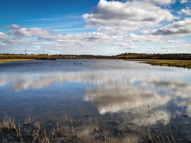 Beyaz bulutlar ve canlı bir mavi gökyüzü Fairburn Ings doğa koruma alanında bir göle yansıyor, Batı Yorkshire, İngiltere