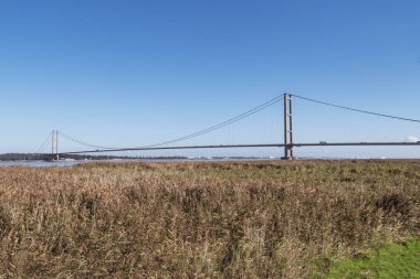 Humber Estuary 'nin üzerindeki Humber Köprüsü sazlık yatağı üzerinde