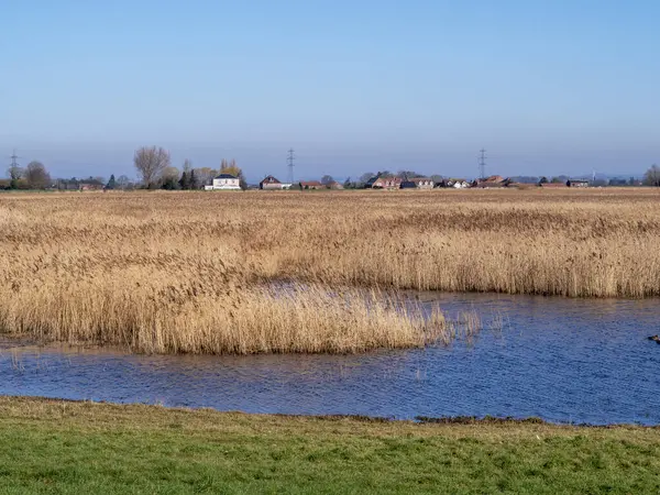 Blacktoft Kumları Doğa Koruma Alanı, Doğu Yorkshire, İngiltere