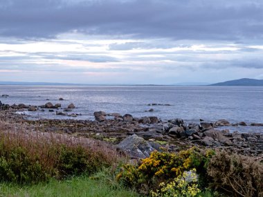 Galway, İrlanda yakınlarındaki kayalıklı ve çiçekli kıyı manzarası
